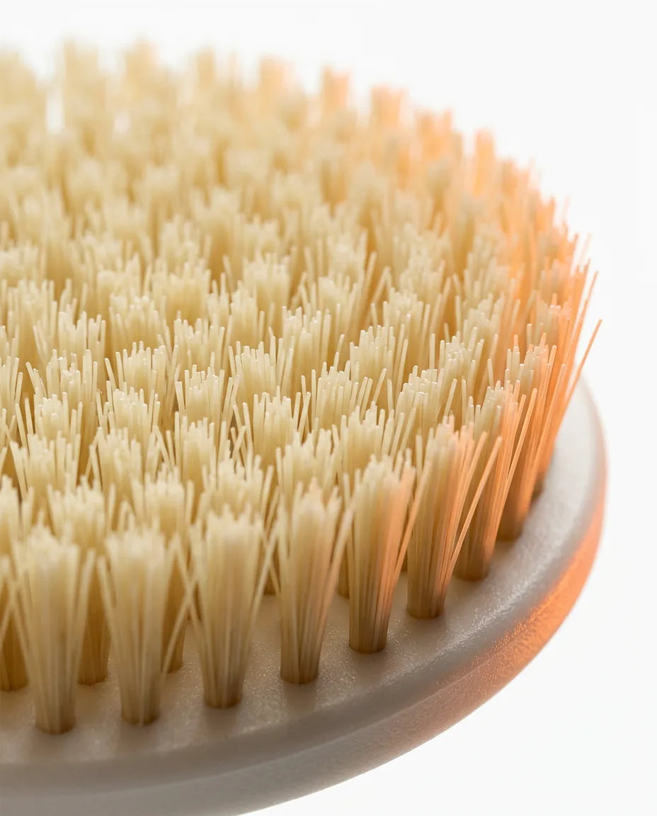 Körperbürste mit weichen Borsten – sanftes Peeling mit langem Griff für den Rücken – Produktbild 4