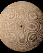 Sauna-Kopfstütze aus Holz – ergonomische Nackenstütze für Sauna und Spa – Produktbild 4